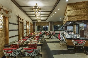 Hotel DELPHIN PALACE wakacje