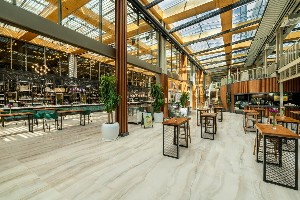 Hotel NIRVANA COSMOPOLITAN wakacje