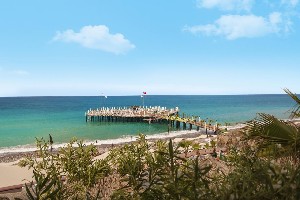 Hotel DELPHIN BOTANIK PLATINUM wakacje