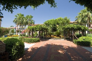 Hotel GYPSOPHILA HOLIDAY VILLAGE wakacje