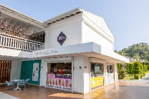 Hotel NIRVANA DOLCE VITA wakacje