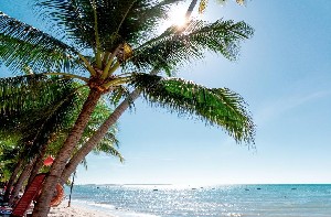 Oriental Pearl (Hoang Ngoc) Resort 4* (4*)