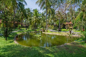 Hotel SEAHORSE RESORT wakacje