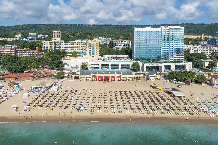 Birds View