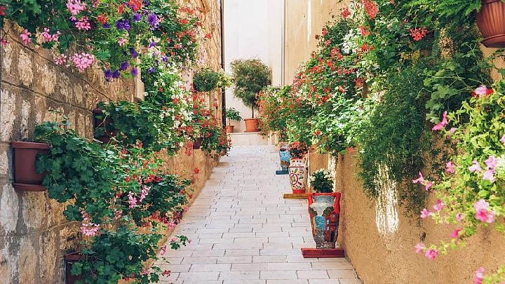 HERITAGE GRAND PERAST – fotka 4