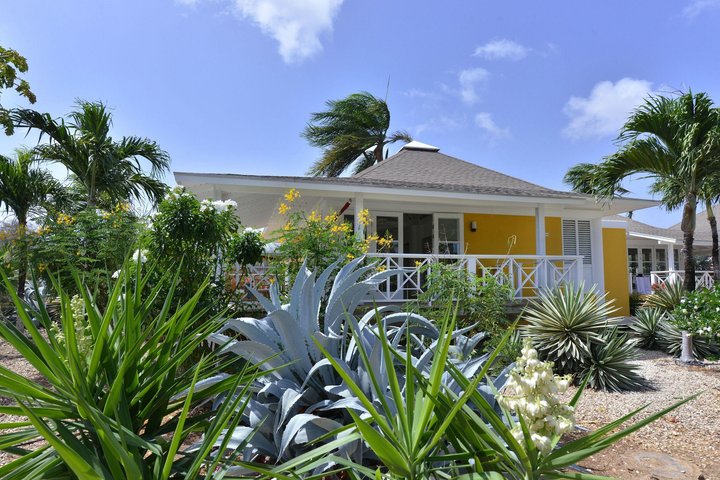 Chogogo Dive & Beach Resort Curacao – fotografie 2