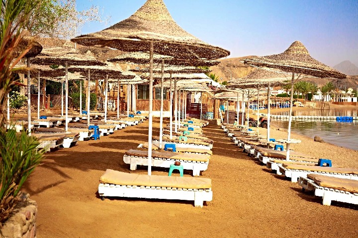 Old Vic Resort – fotka 2