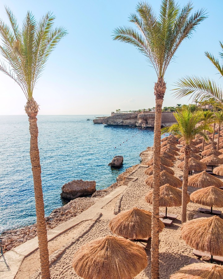 The Grand Hotel Sharm El Sheikh – fotka 3