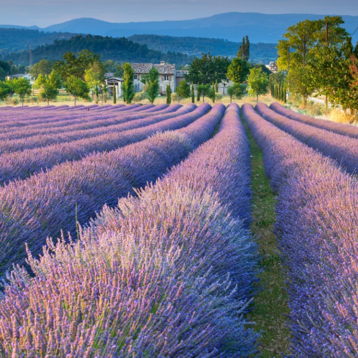Obrázek hotelu Krásy Provence a jižní Francie
