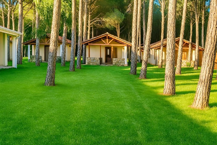 CalaDune Resort – fotka 5