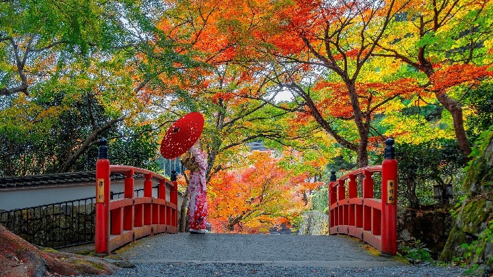 Po stopách dávných civilizací – Japonsko a Čína – fotka 4