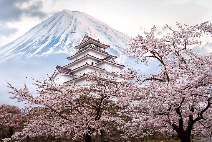 Velká plavba kolem Japonska s návštěvou Jižní Koreje – fotka 5