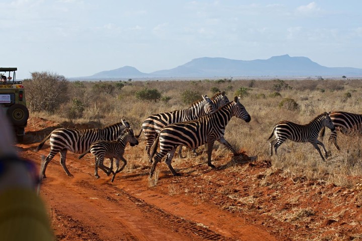 2 dny safari Tsavo East + 6 nocí Neptune Paradise – fotka 3