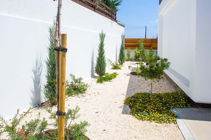 Villa Cerulean Paphos – fotografie 5