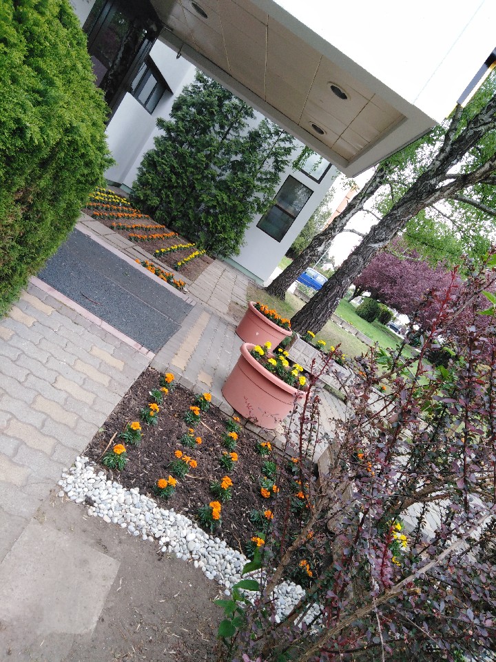 Hotel MAGISTERN wakacje