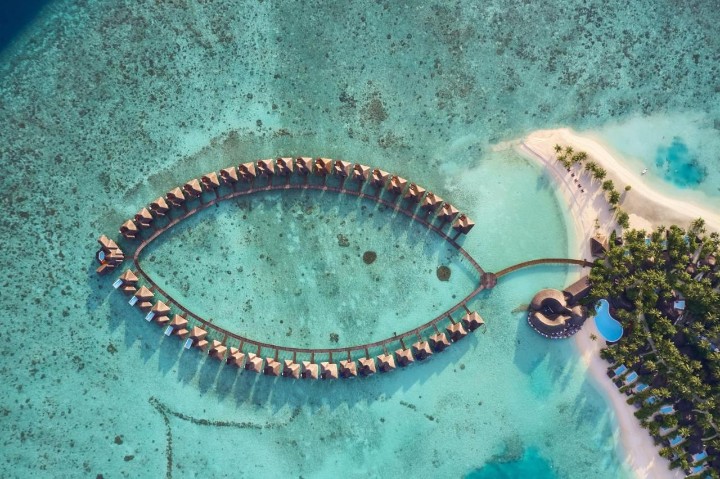 Sun Siyam Vilu Reef Maldives – fotka 70