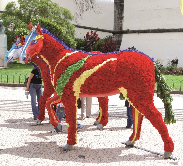 Slavnosti květin na Madeiře II. – fotka 5