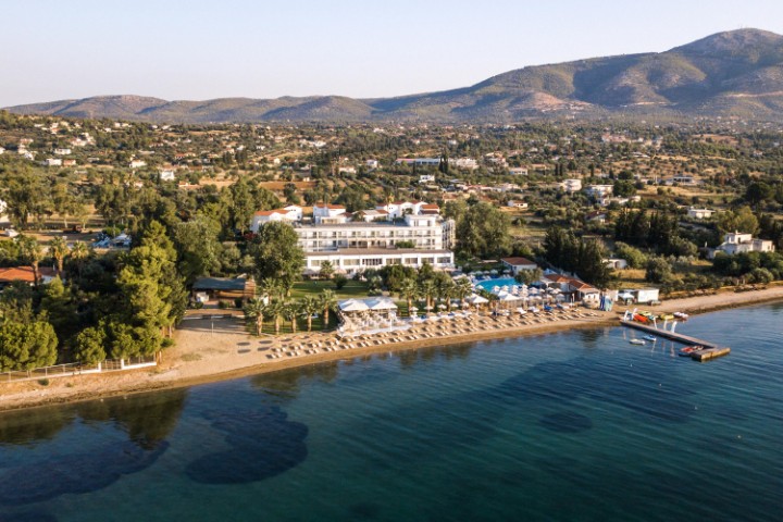 Obrázek hotelu Brown Beach Evia Island
