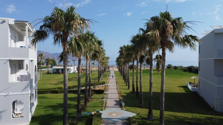 Delfina Tropic Beach – fotografie 2