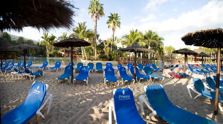 Tabaiba Princess – fotka 5