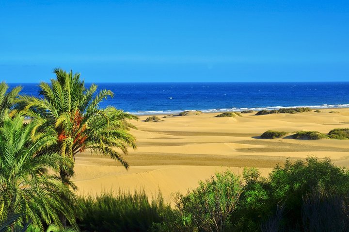 Maspalomas duny