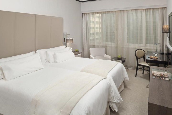 Melia Castilla Hotel  – fotografie 4