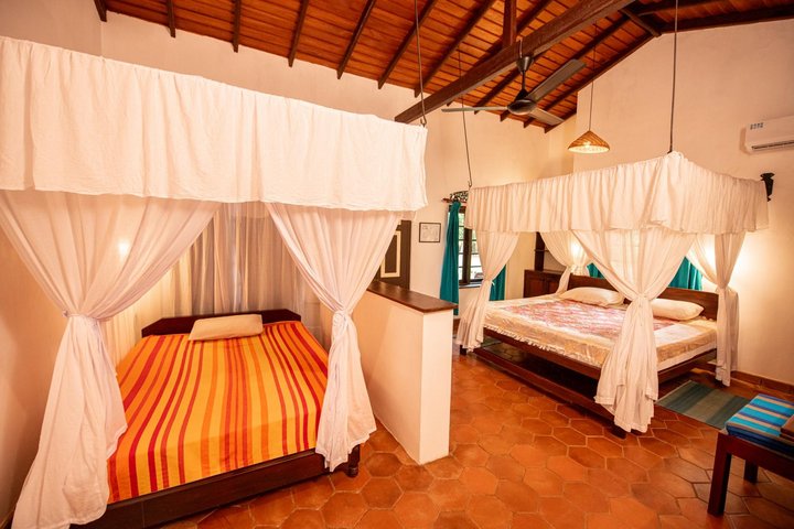 Ging Oya Lodge – fotografie 3
