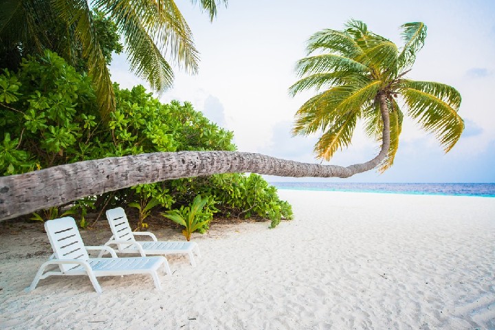 Velký okruh Srí Lankou – fotka 4