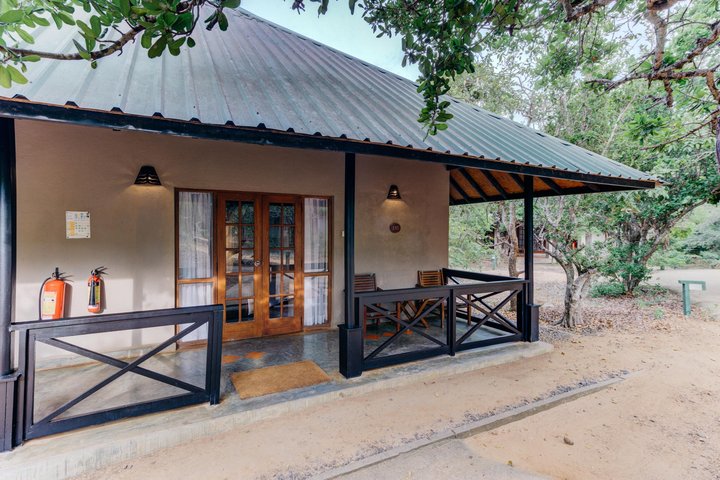 Cinnamon Wild Yala – fotografie 3