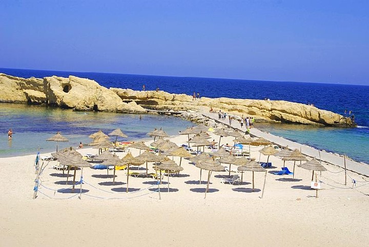 Delphin Habib – fotka 5