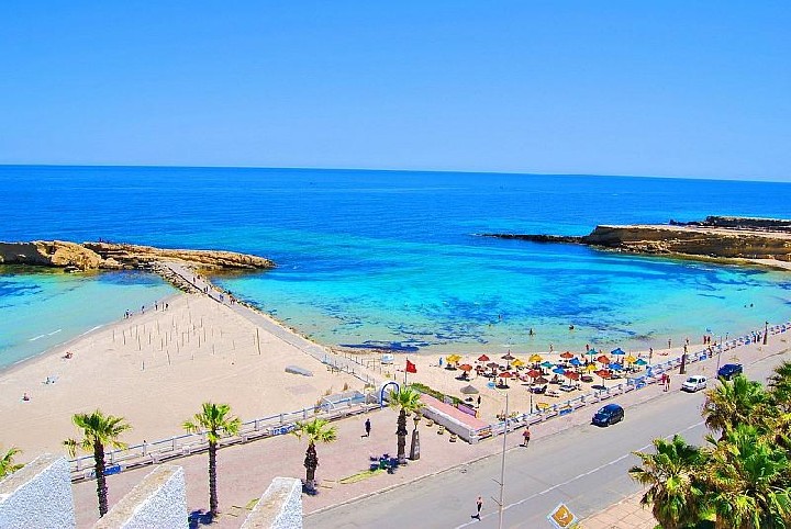 Delphin Habib – fotka 4