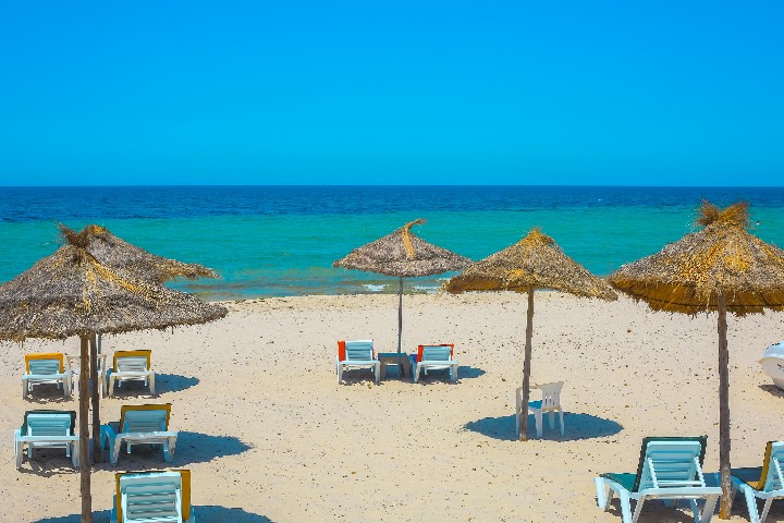 Neptunia – fotka 4