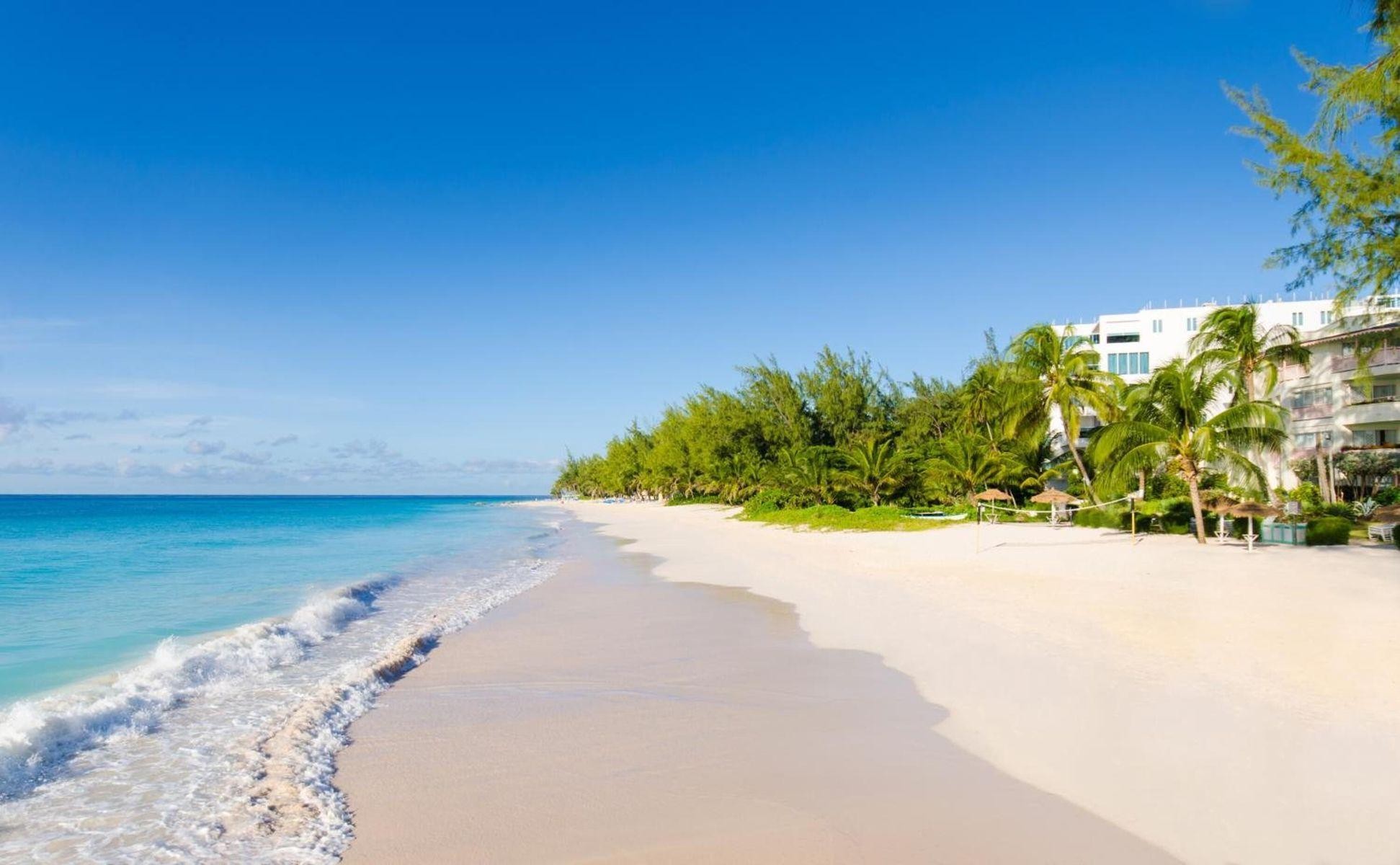Bougainvillea Barbados