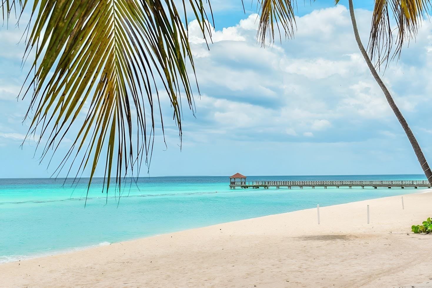 Catalonia Royal La Romana 6