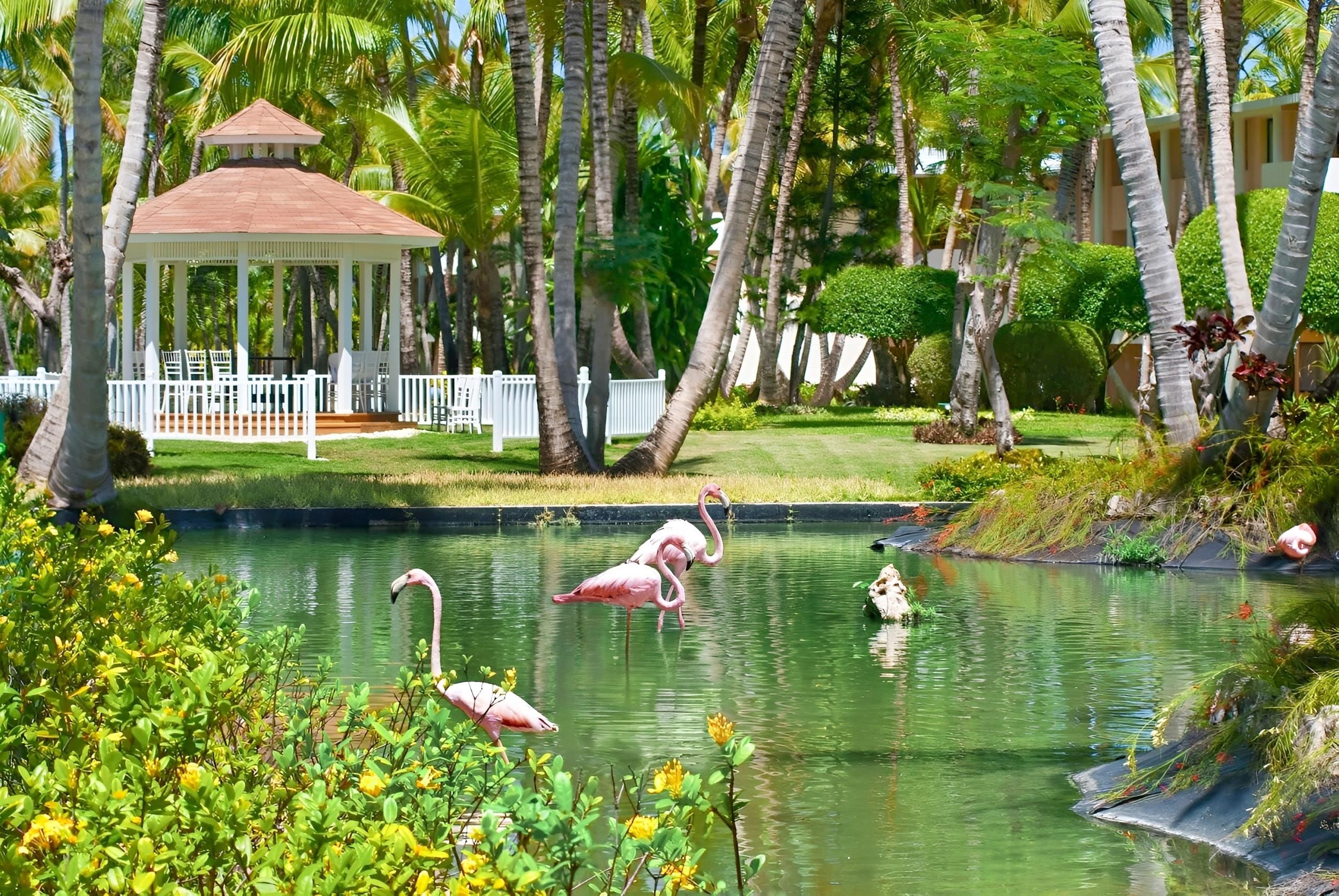 Catalonia Bavaro Beach & Golf Resort 16