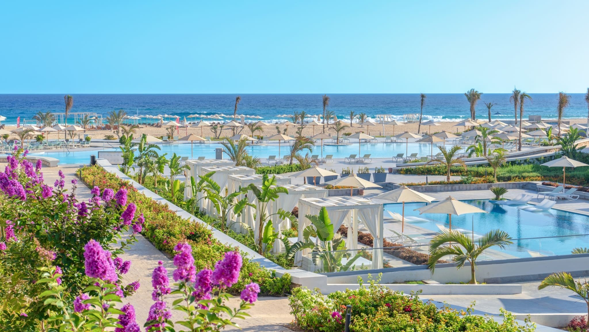 Cleopatra Sidi Heneish 18