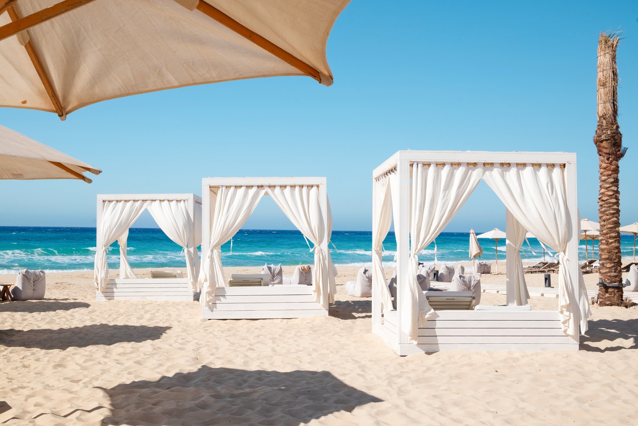 Cleopatra Sidi Heneish 4