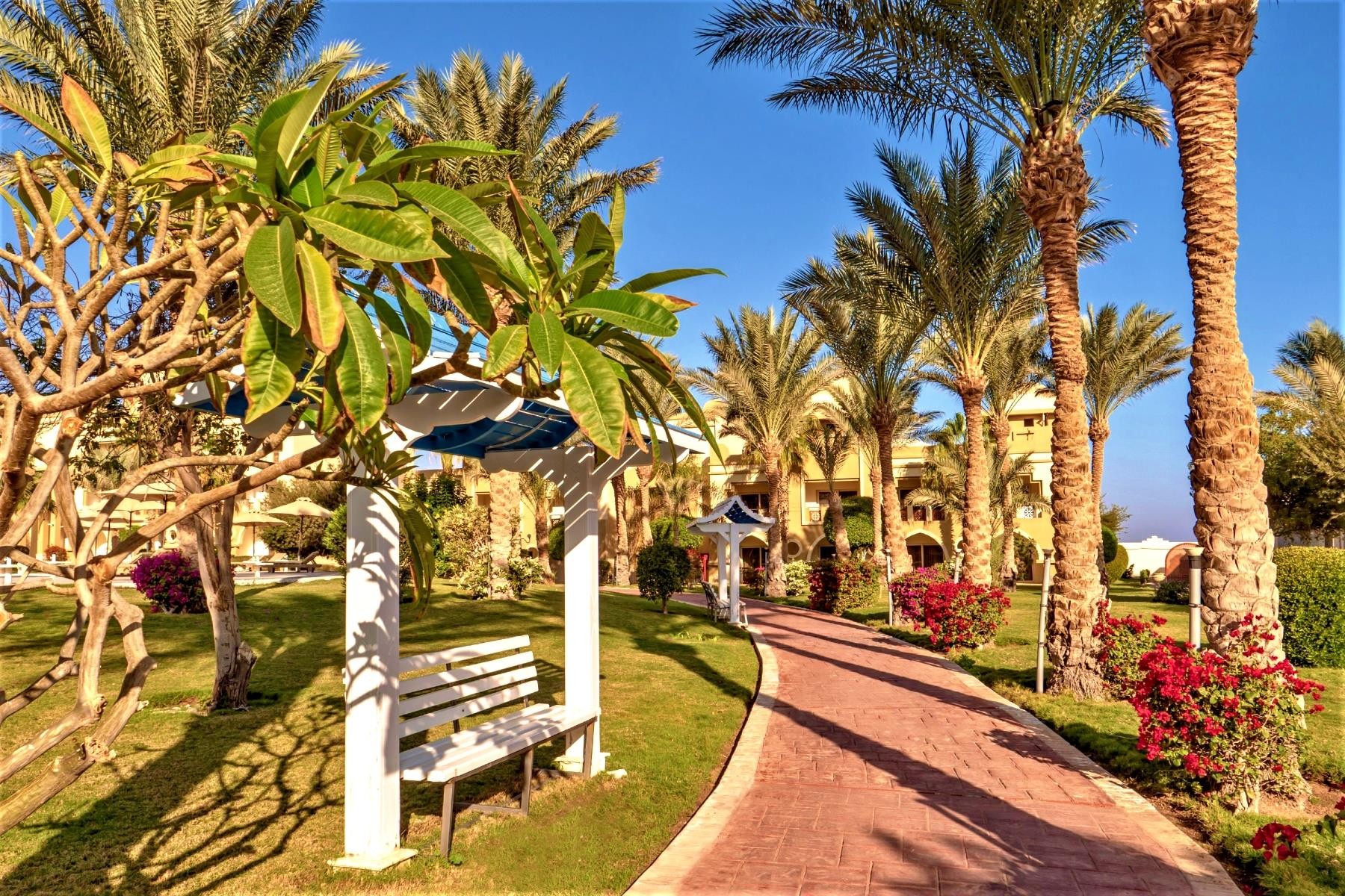 Serenity Makadi Beach 20