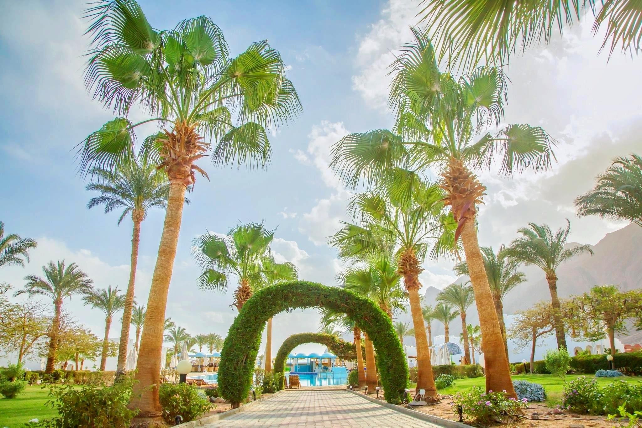 Happy Life Village Dahab 31