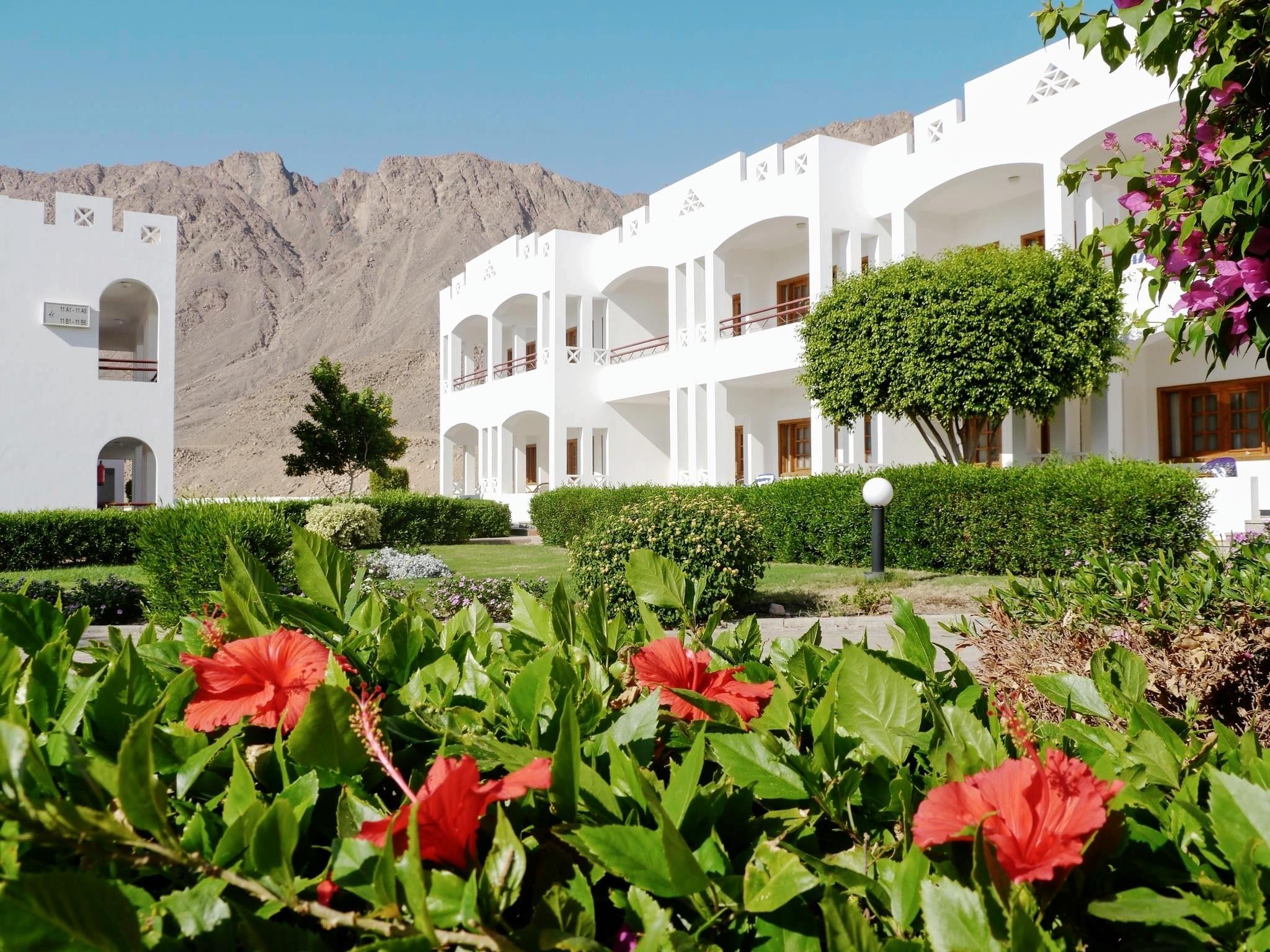 Happy Life Village Dahab 30