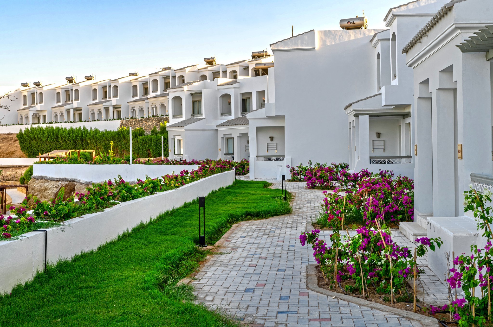 Invidia Coral Beach Tiran