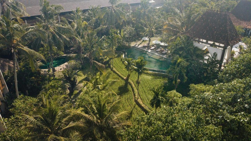 Alaya Resort Ubud