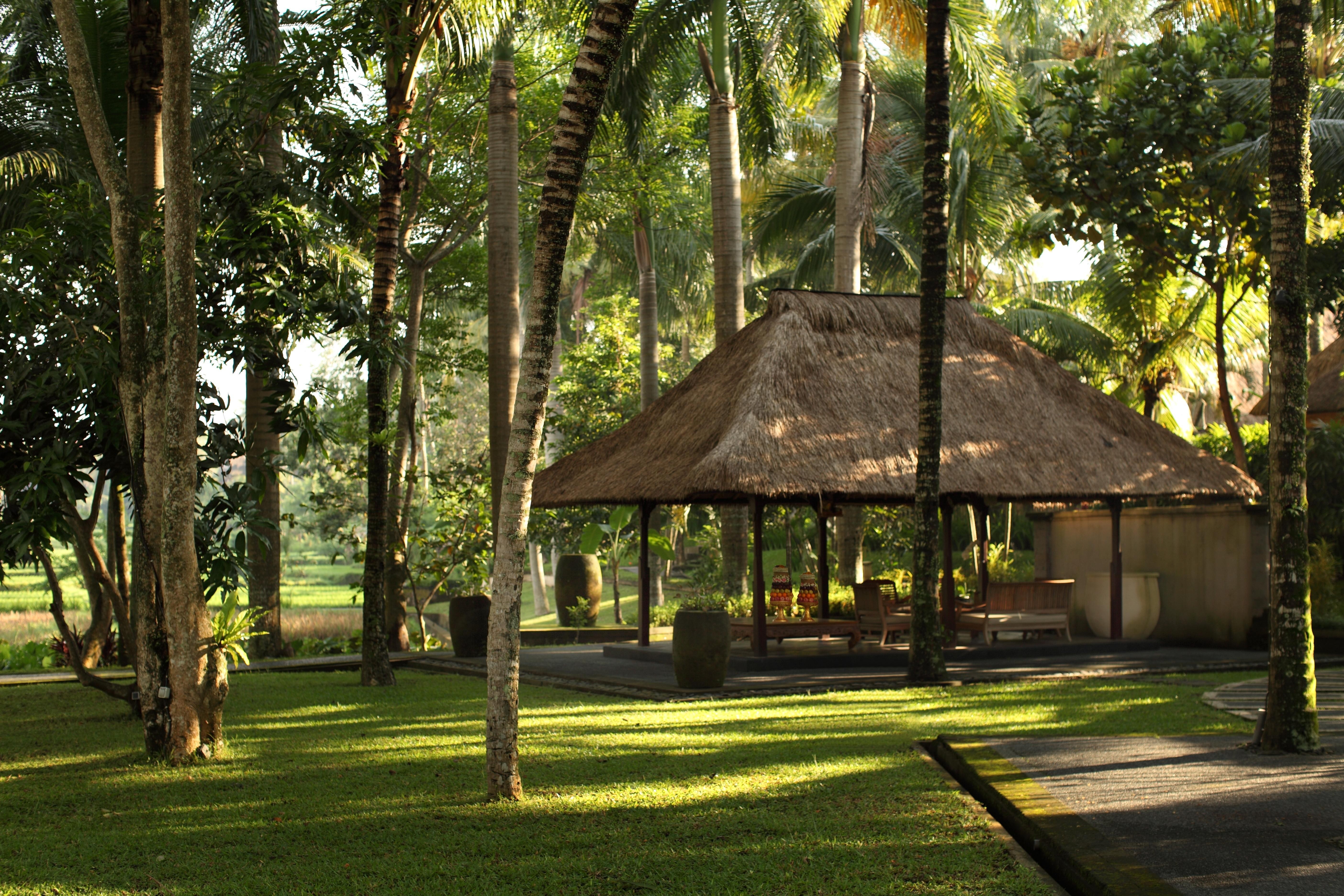 The Ubud Village Resort & Spa 7