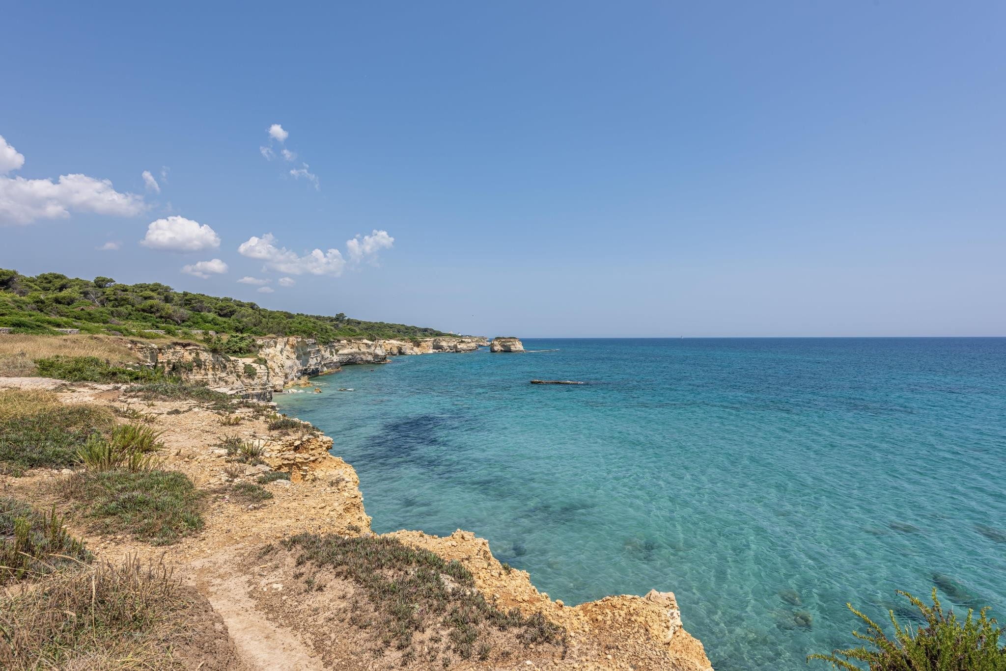 VOI Daniela Essentia 26