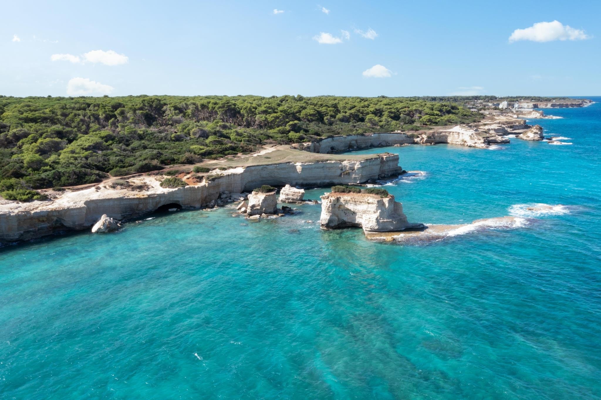 VOI Daniela Essentia