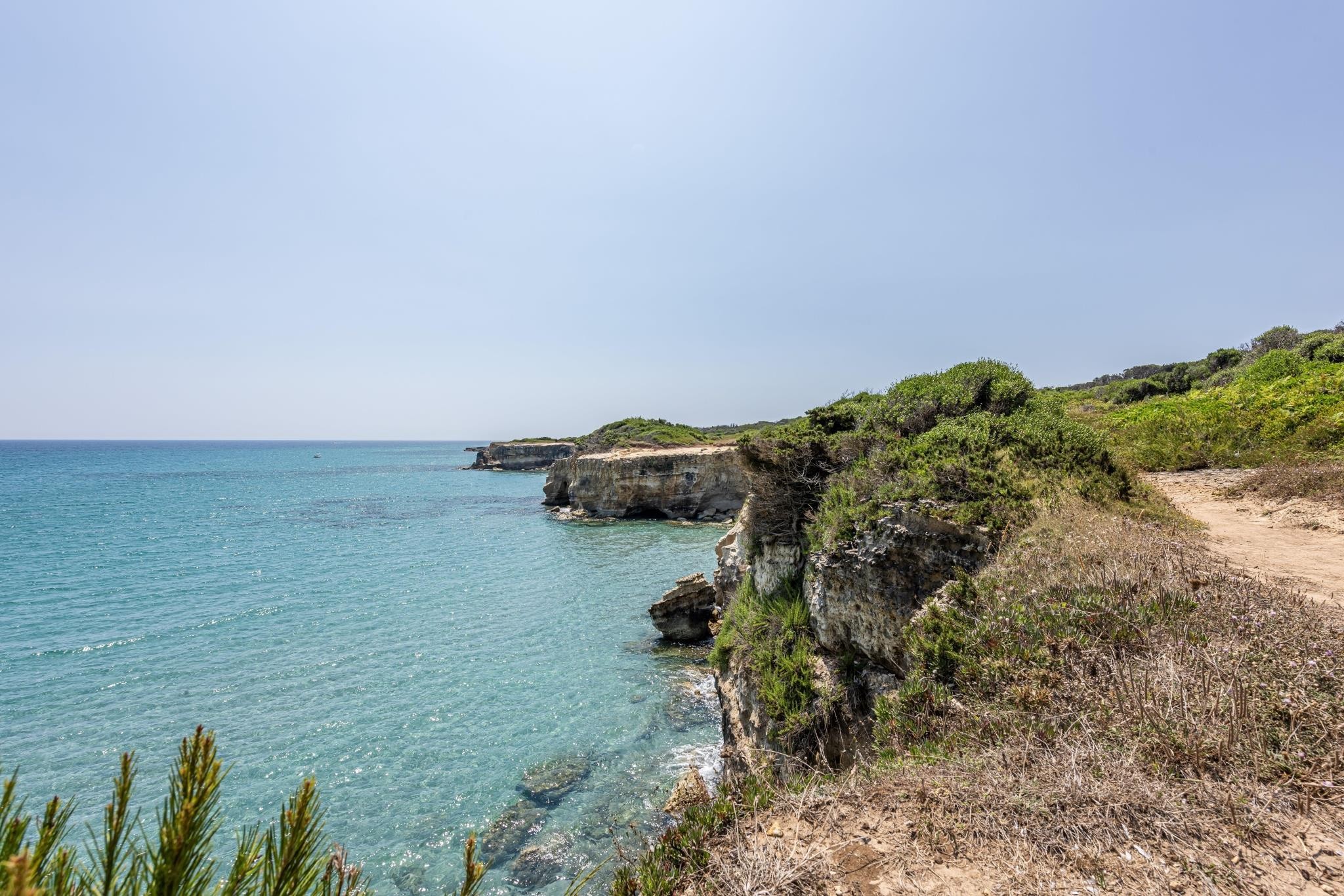 VOI Daniela Essentia 25