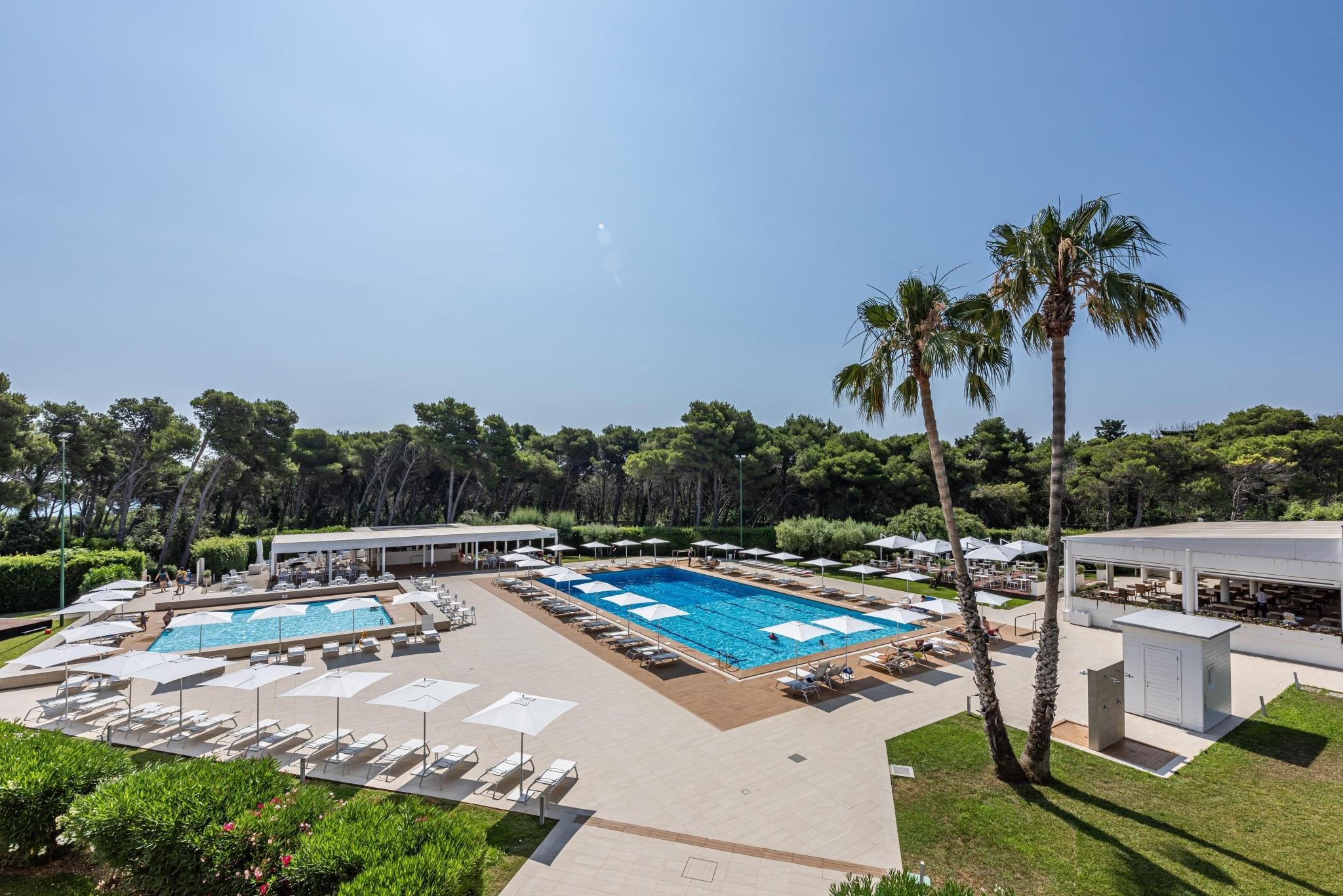 VOI Daniela Essentia