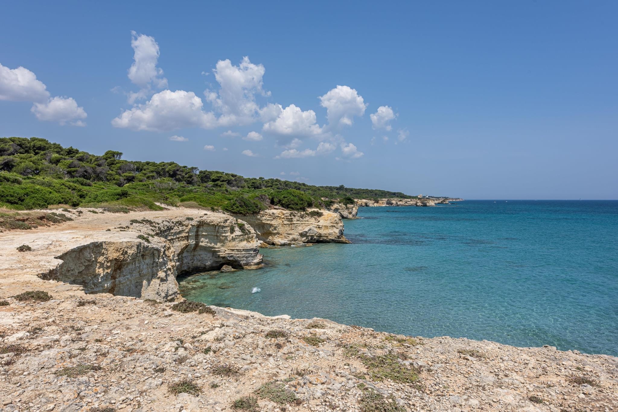 VOI Daniela Essentia