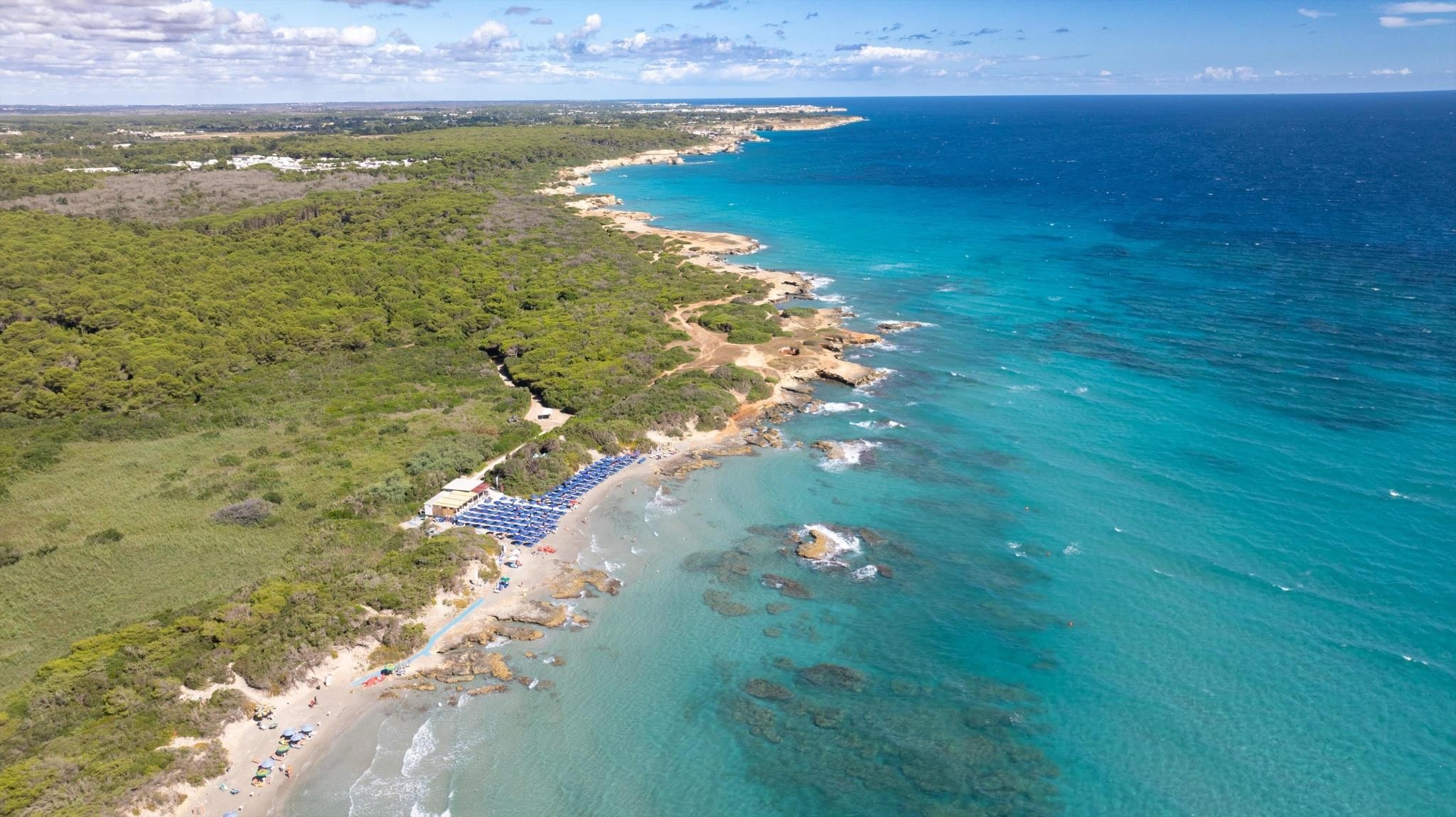 VOI Daniela Essentia 37