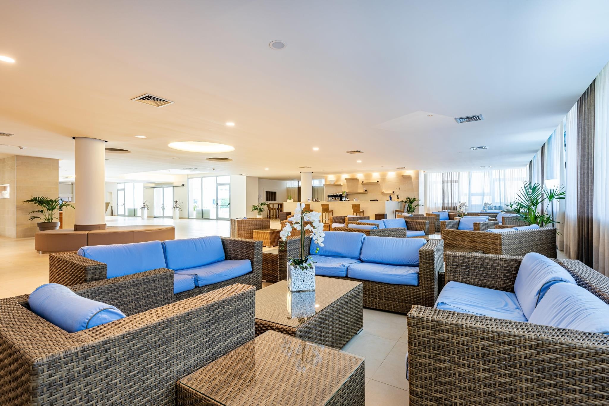 VOI Daniela Essentia 23